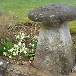 St David\'S Apartment