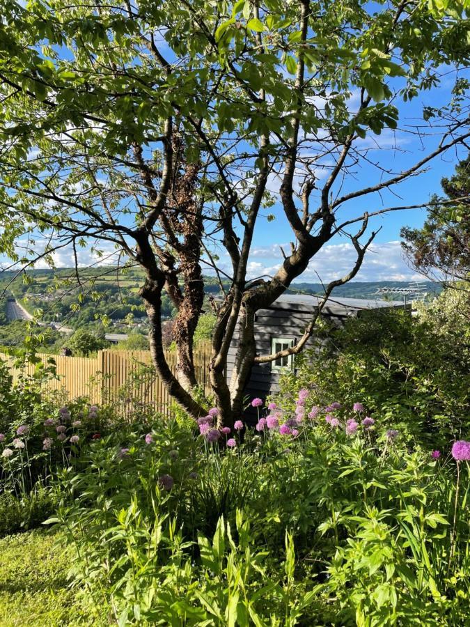 Secluded With Spectacular Views And Hot Tub!