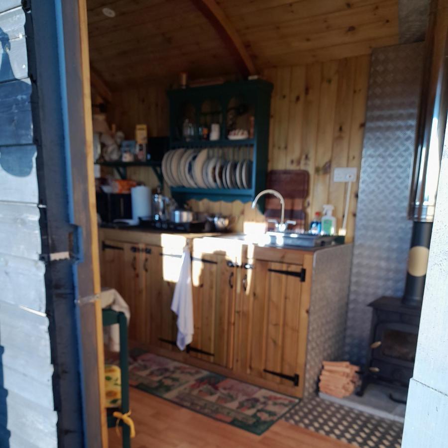 Luxury tent Lower Haven Shepherds Hut
