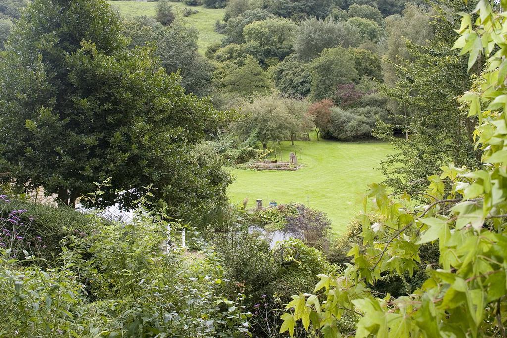 Apartment Tucking Mill View- Self Catering *