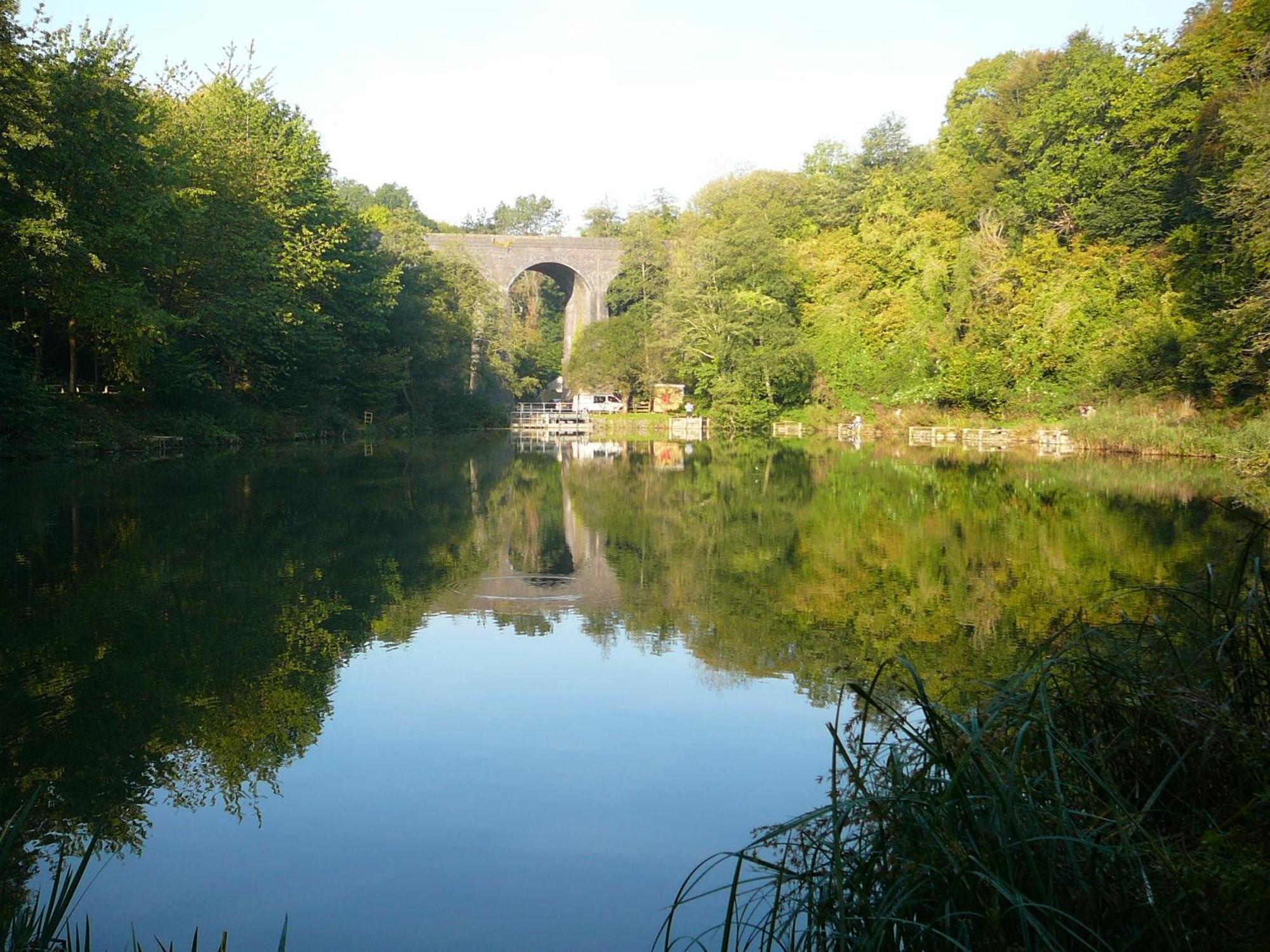 Apartment Tucking Mill View- Self Catering *