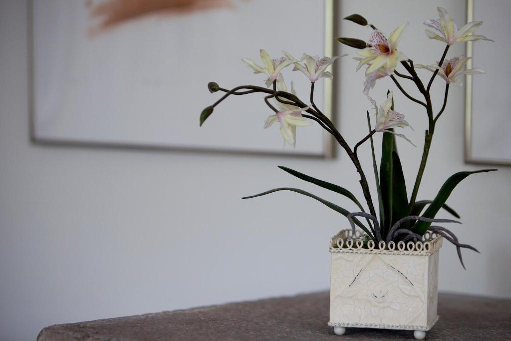 Tucking Mill View- Self Catering Apartment *