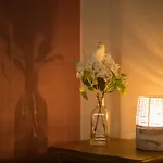 Willoughby Apartment