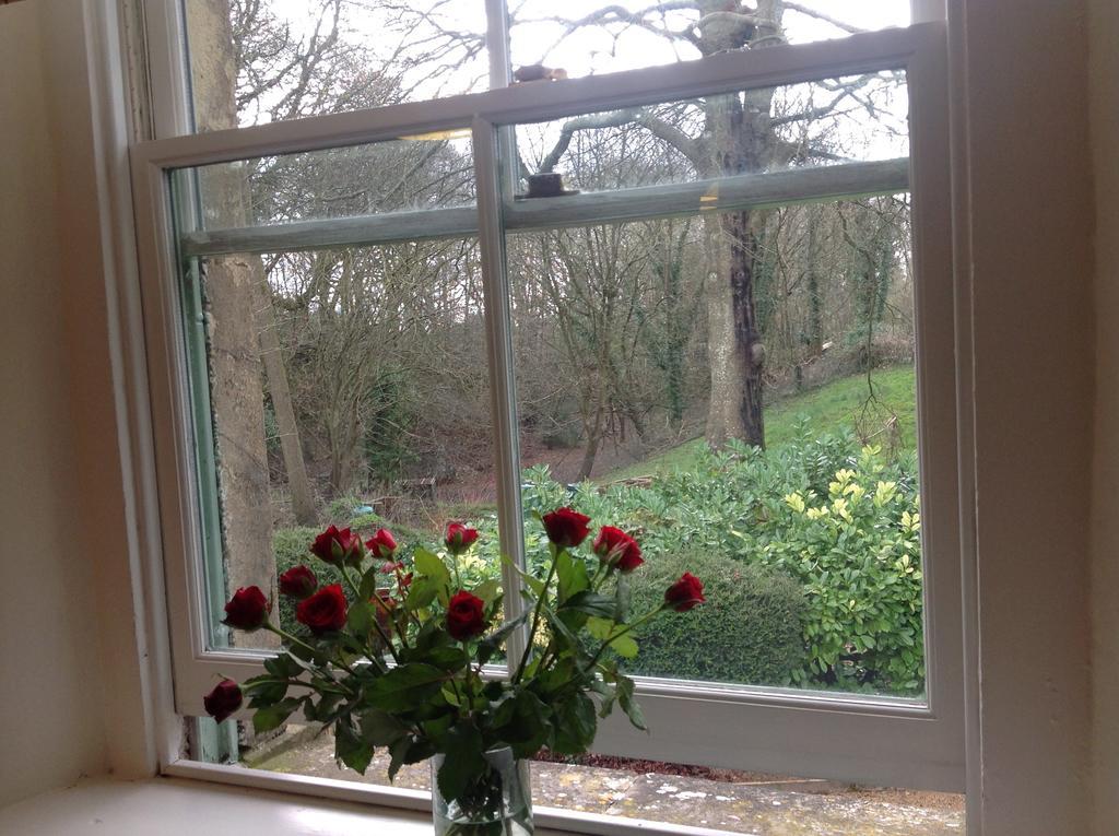 Bed & Breakfast Beech Bath
