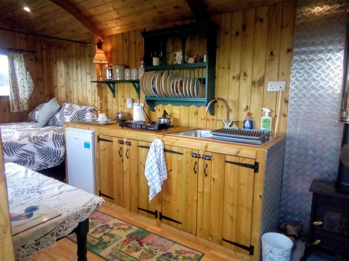 Lower Haven Shepherds Hut Luxury tent