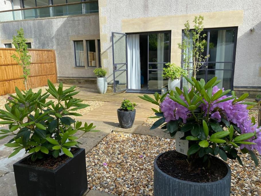 Apartment 2 Bedroom With Garden Lansdown