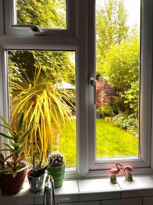 Cosy 19th Century Two Bedroomed With Continental Breakfast Holiday home