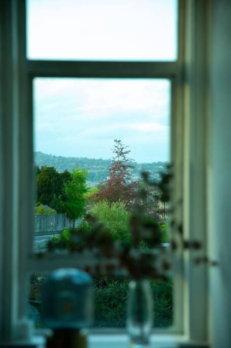 Georgian Gem Free Parking &views Apartment
