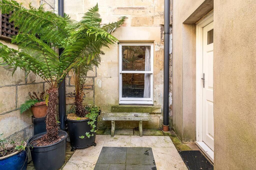 Beautiful Basement Apartment