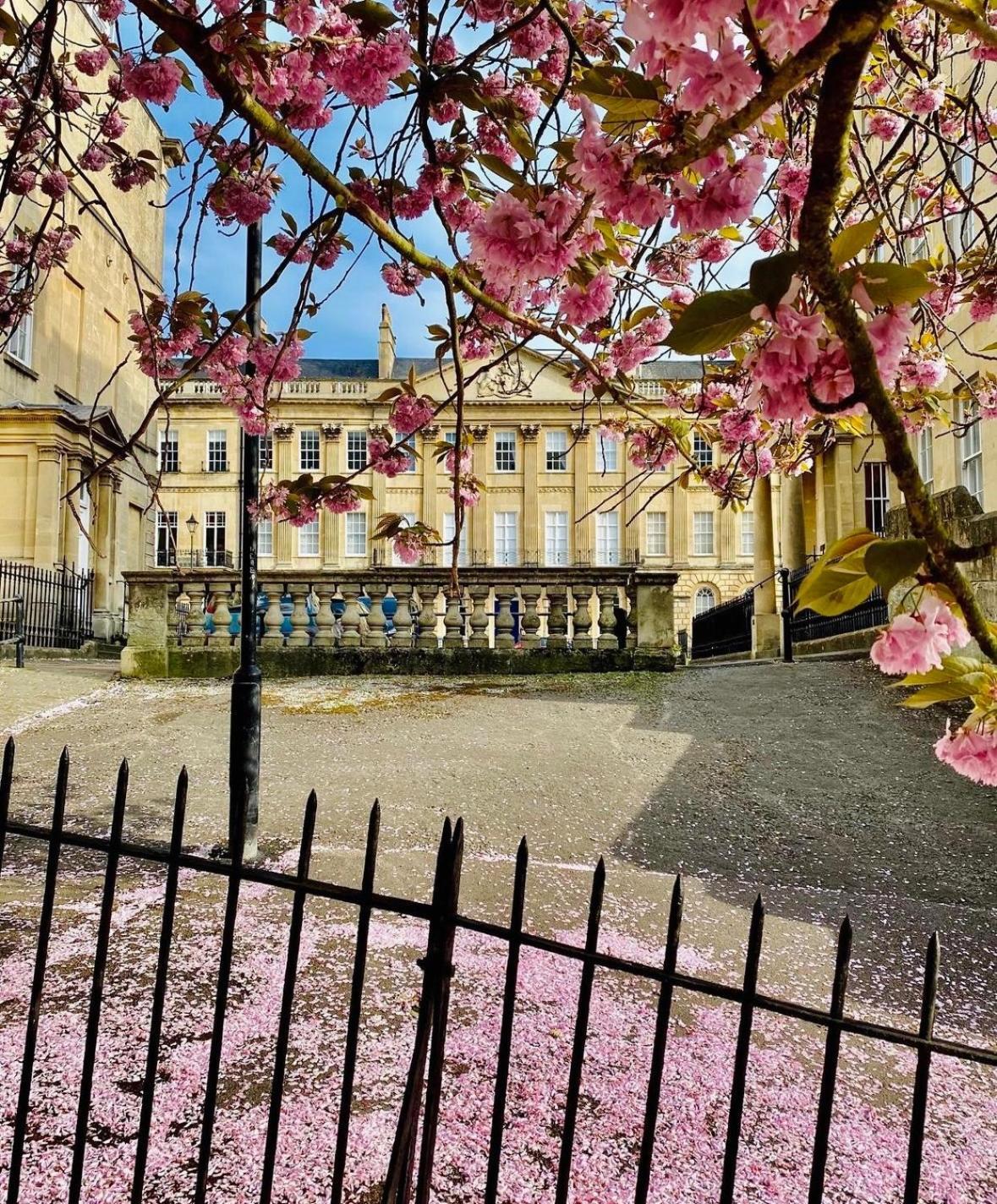 Guest house The Windsor Town House 5*