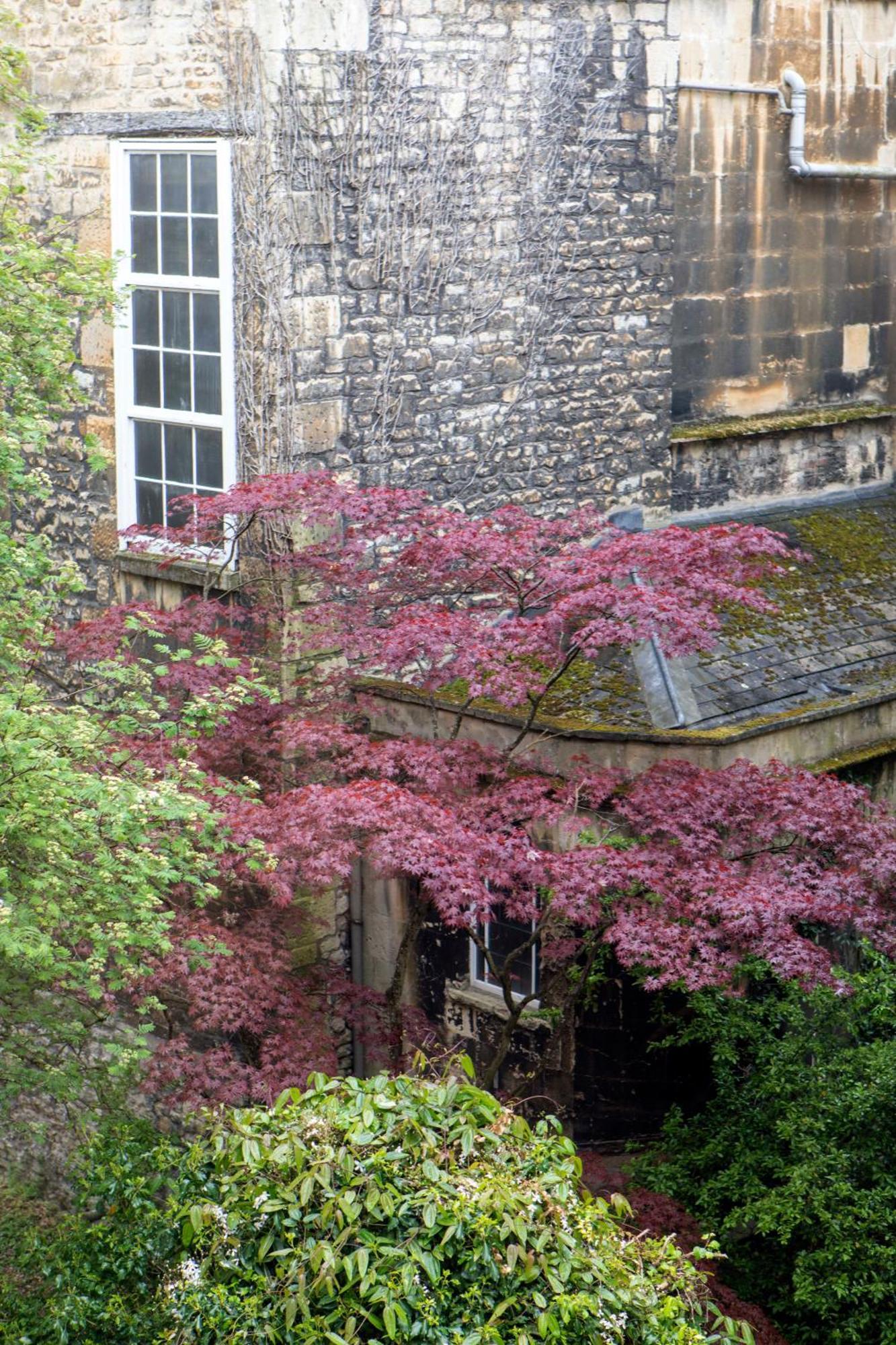 Pierrepont House *