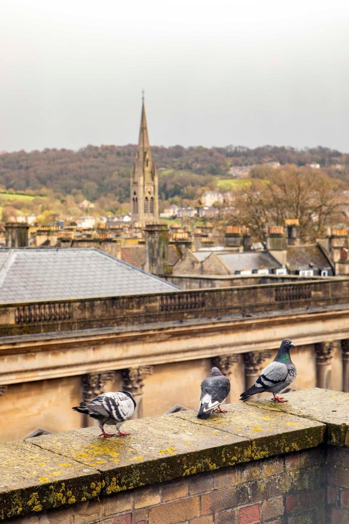 Abbey Views - Stylish & Apartment *