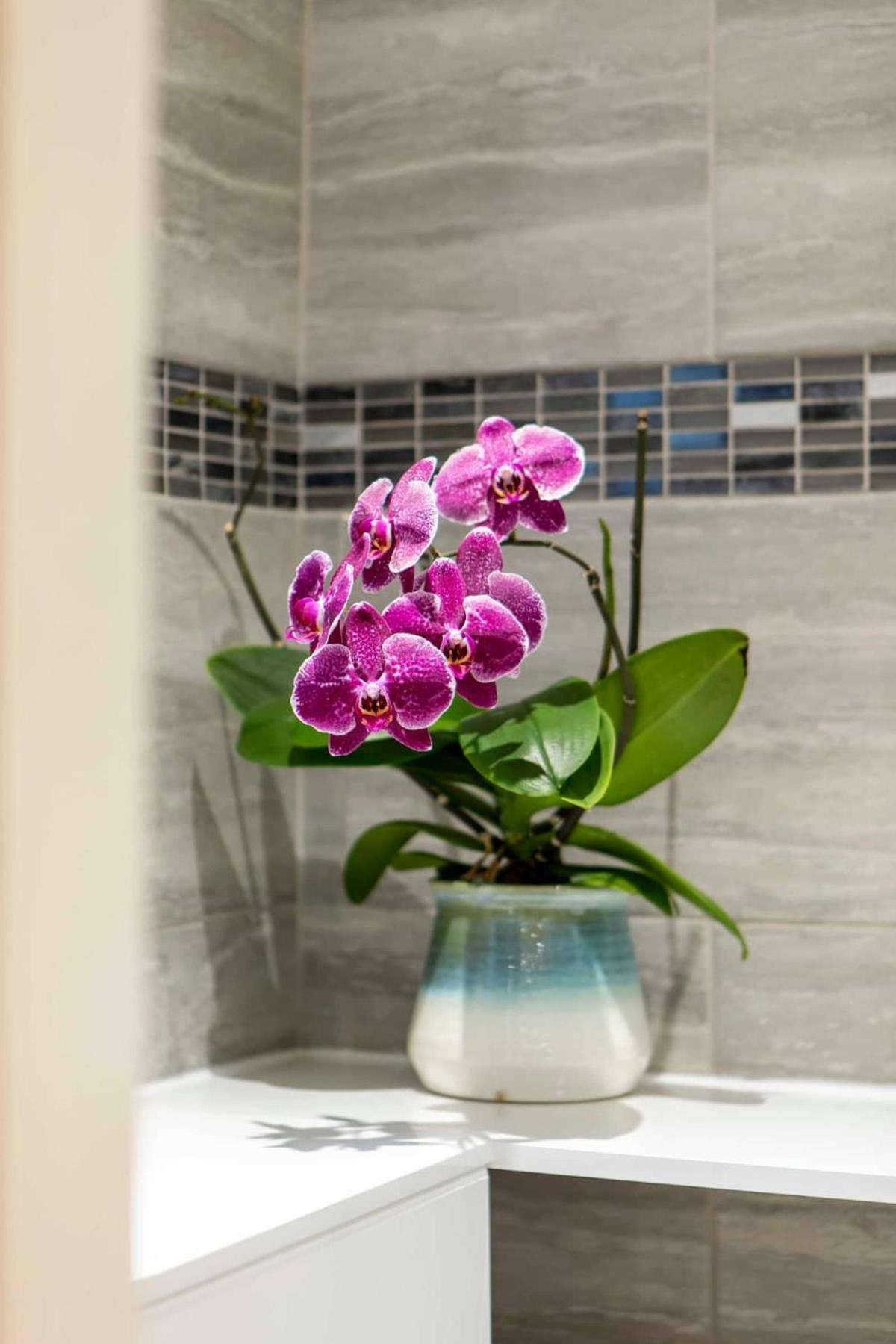 Holiday home Abbey Rectory - With Private Parking Bath