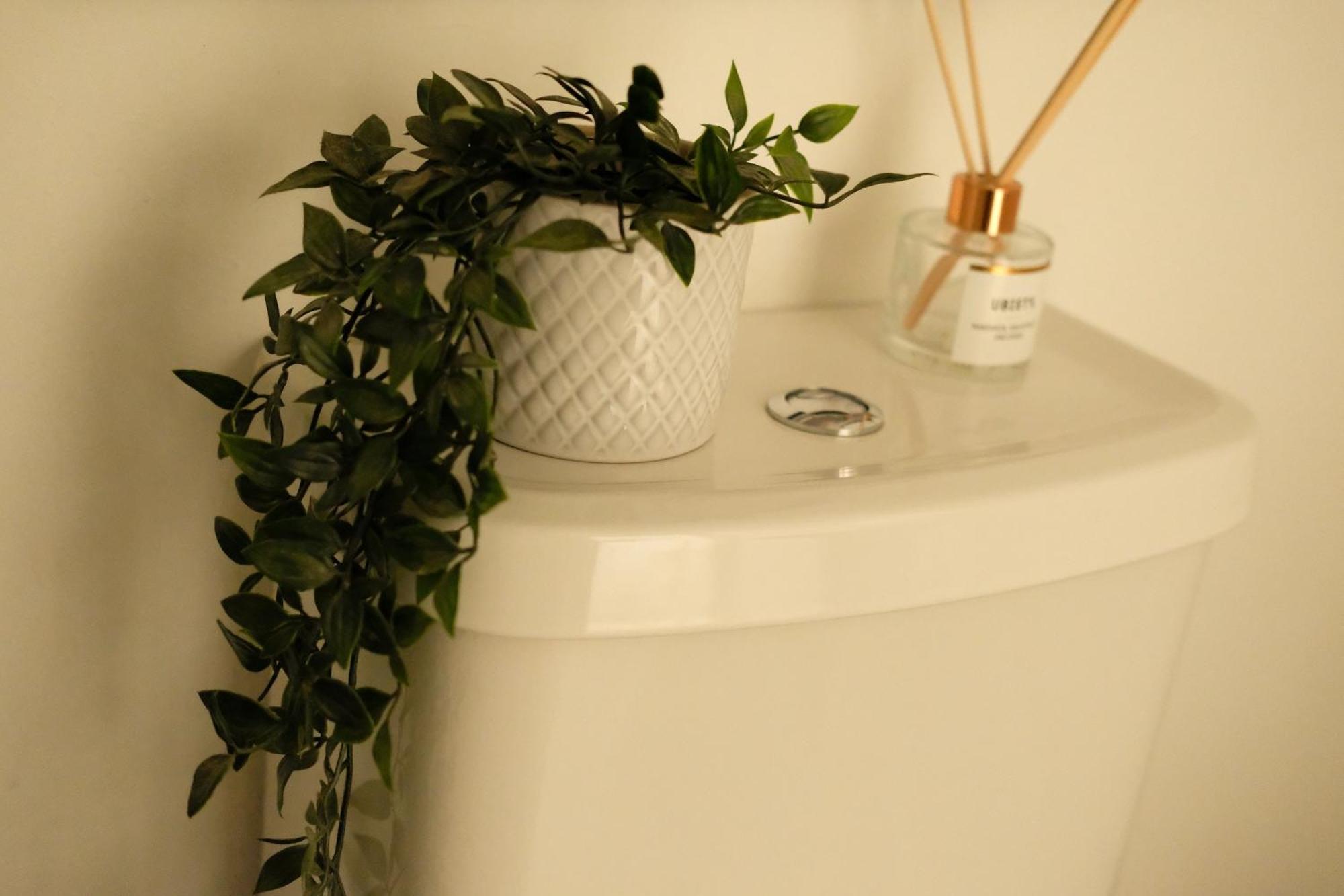Spacious Centre Holiday home Bath