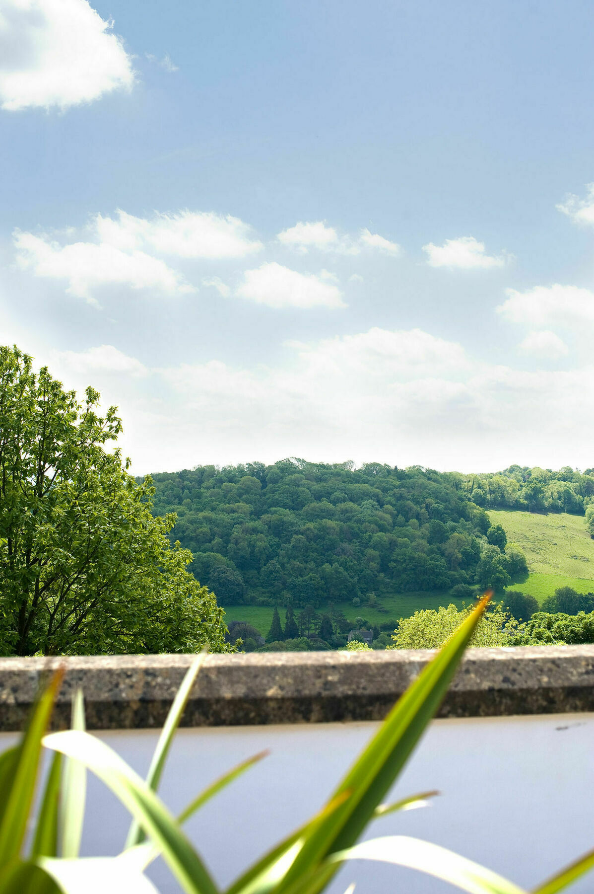 Combe Grove Hotel 4*