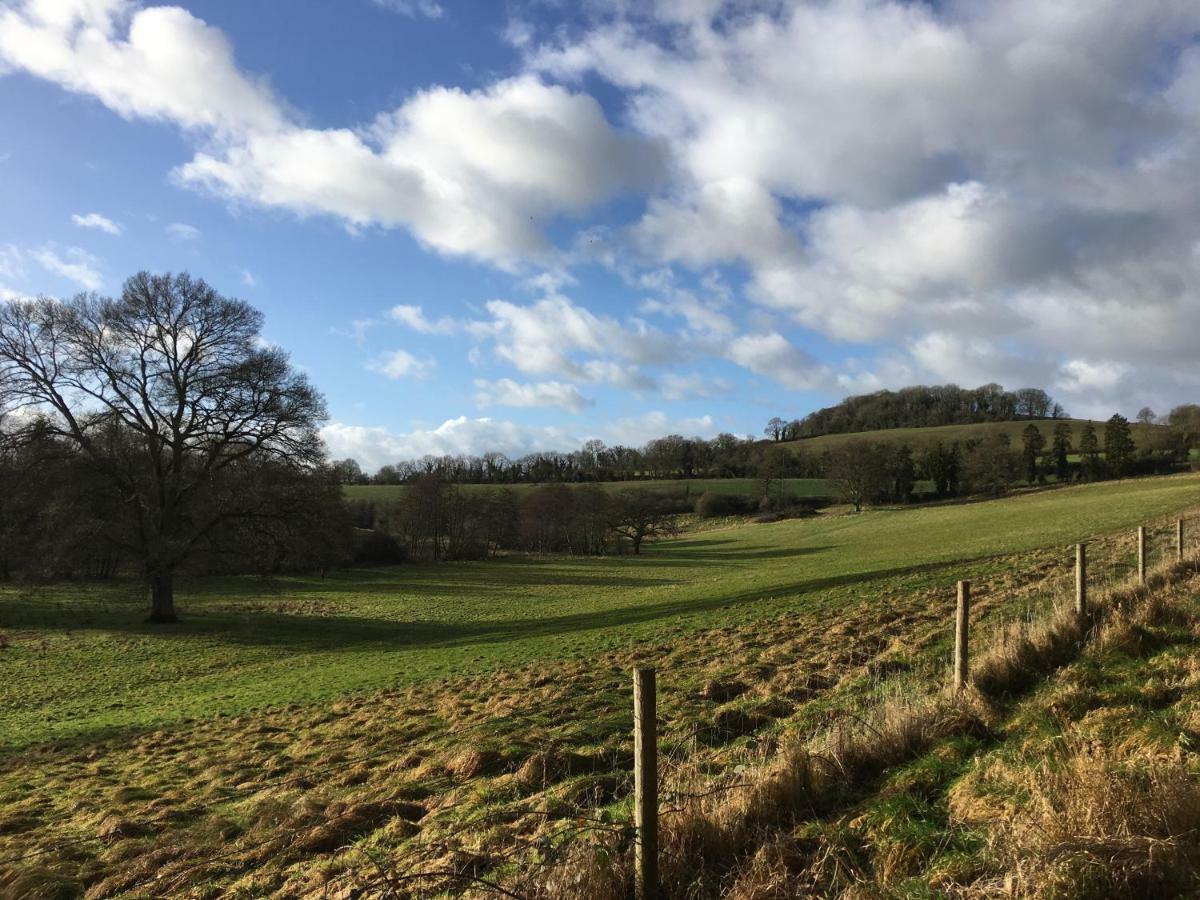 Snug At Combe Hay Holiday home
