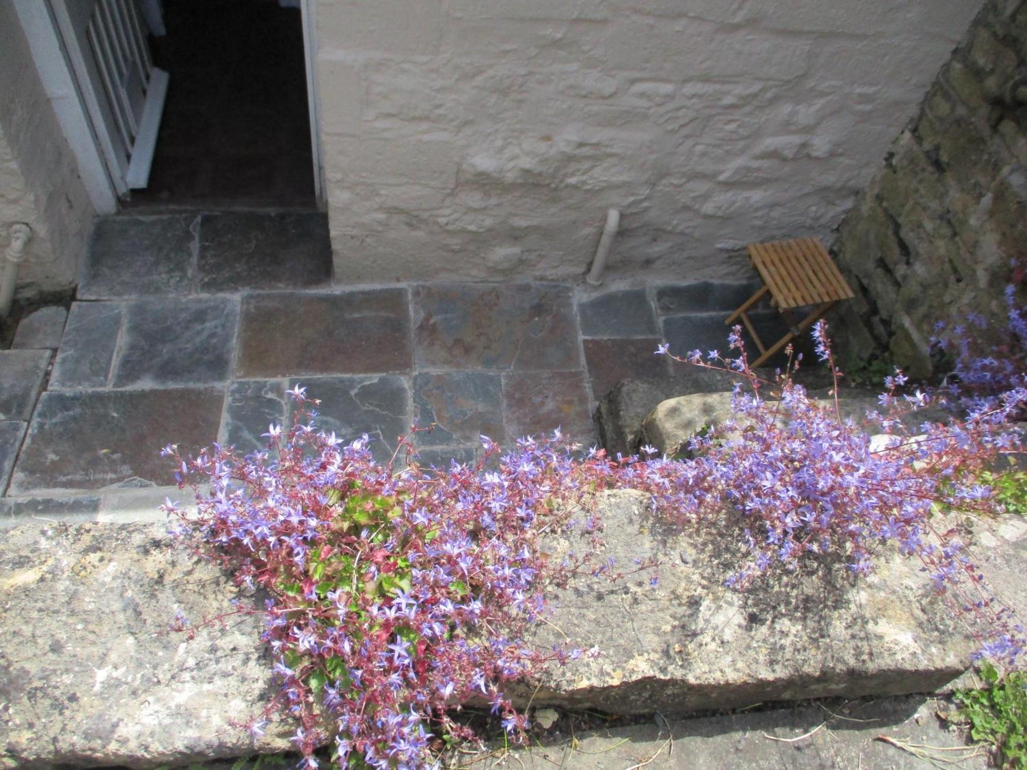 Holiday home Dunraven *