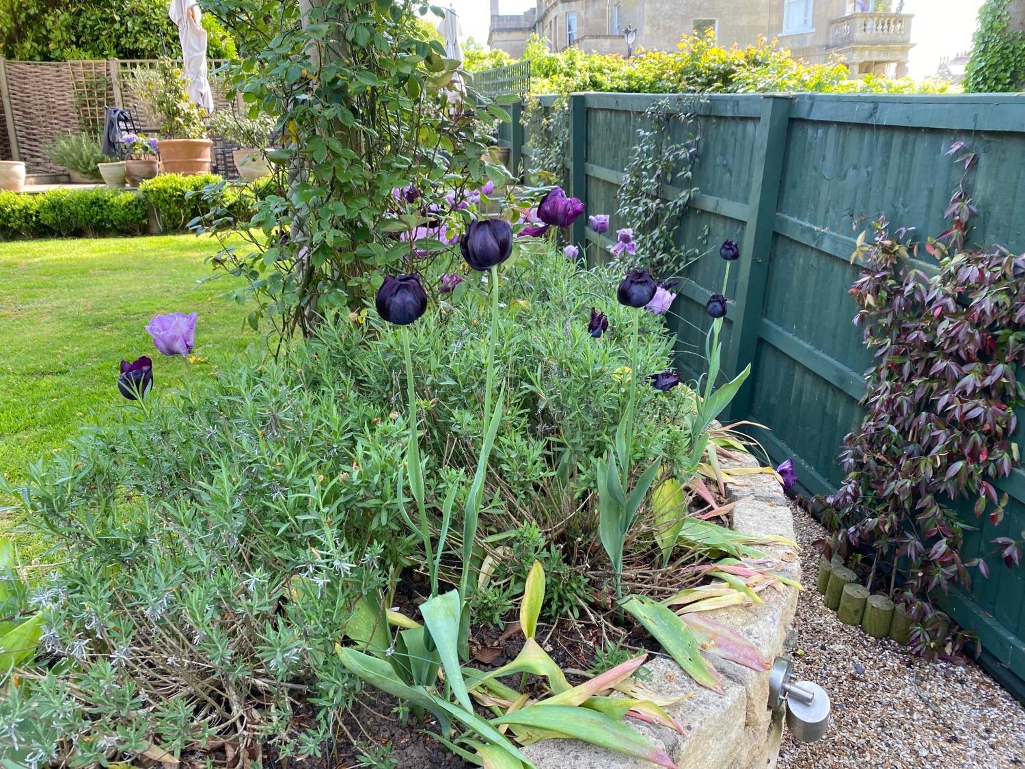 6 Northfields Close Bed & Breakfast *